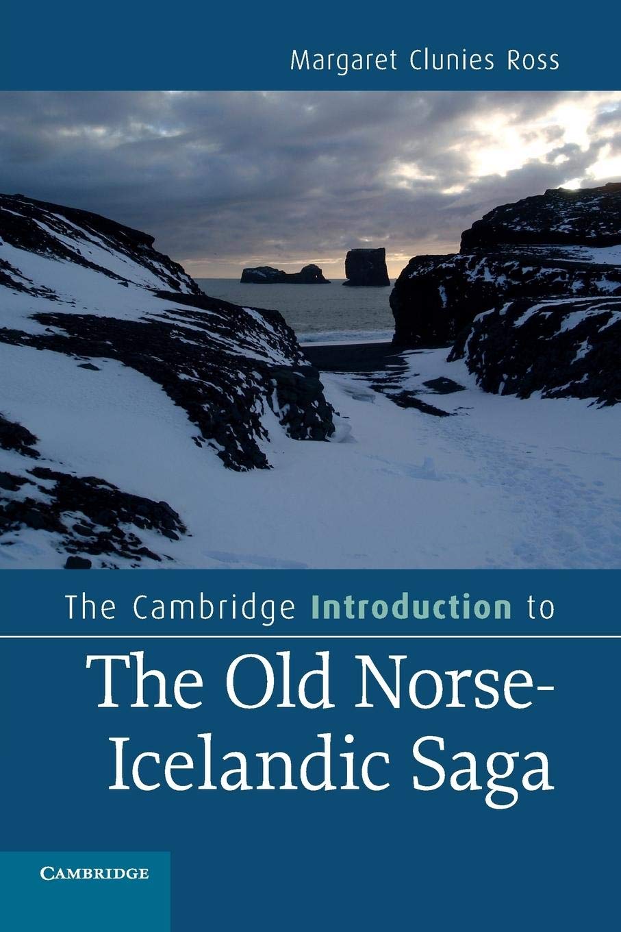 The Cambridge Introduction to the Old Norse-Icelandic Saga (Cambridge Introductions to Literature) Contemporary literature