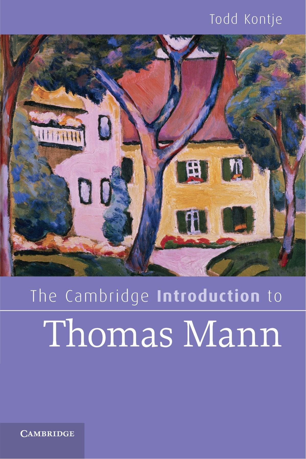 The Cambridge Introduction to Thomas Mann (Cambridge Introduction to Literature) Contemporary literature