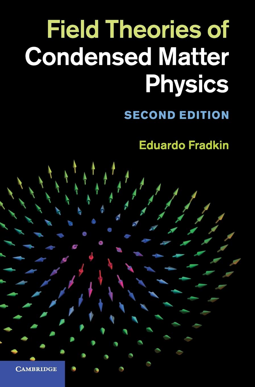 Field Theories of Condensed Matter Physics Business & Technology