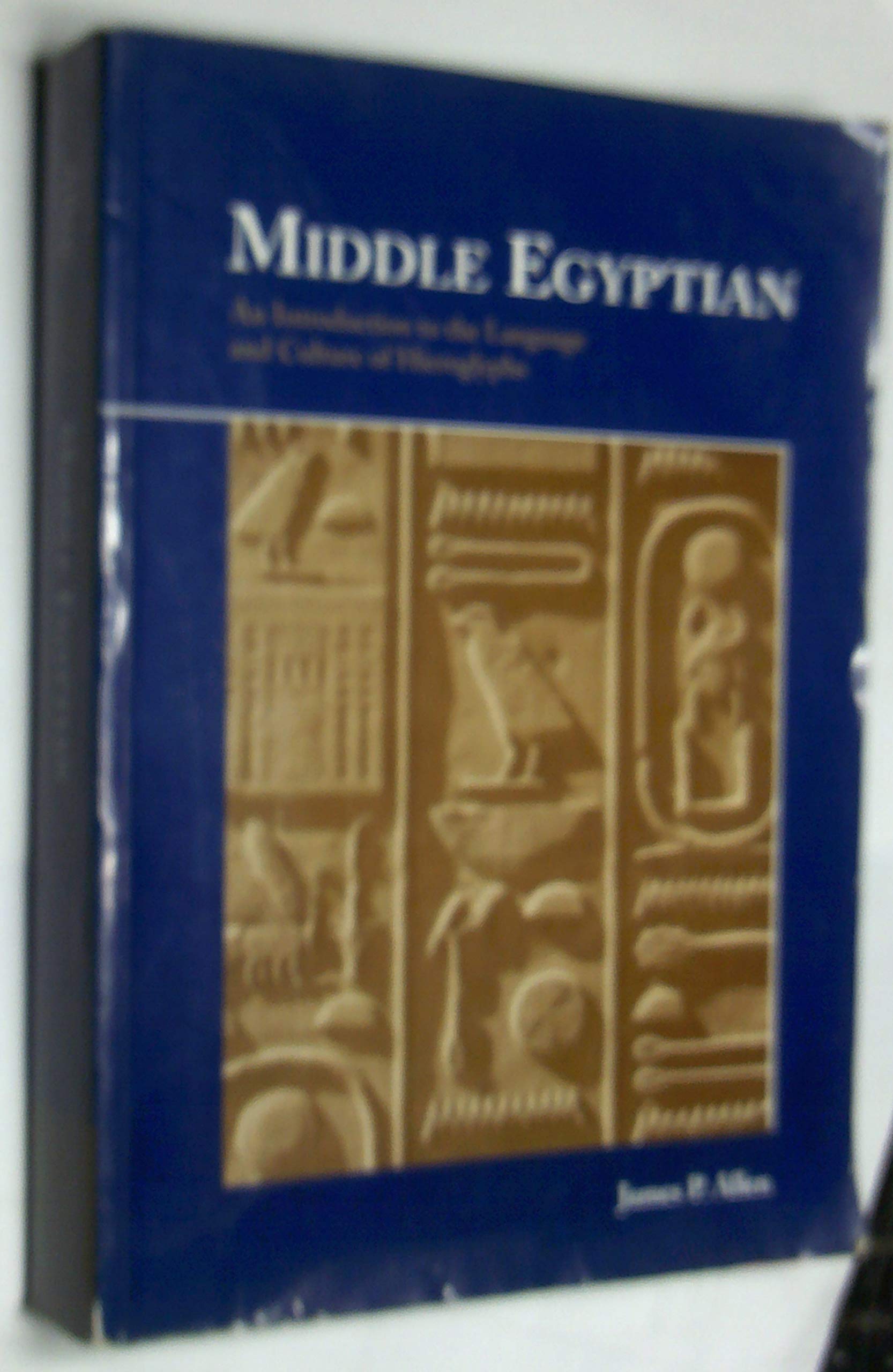 Middle Egyptian: An Introduction to the Language and Culture of Hieroglyphs Social Sciences