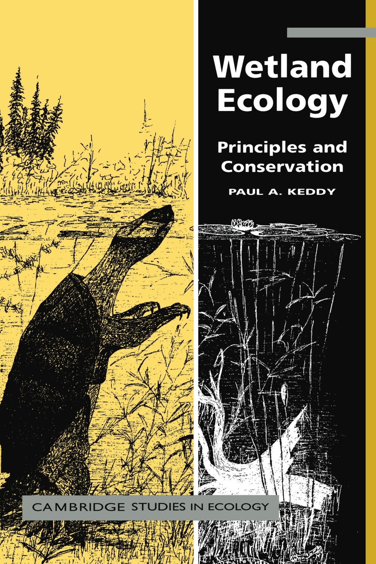 Wetland Ecology: Principles and Conservation (Cambridge Studies in Ecology) Business & Technology