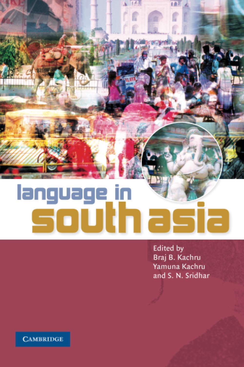 Product Image: Language in South Asia