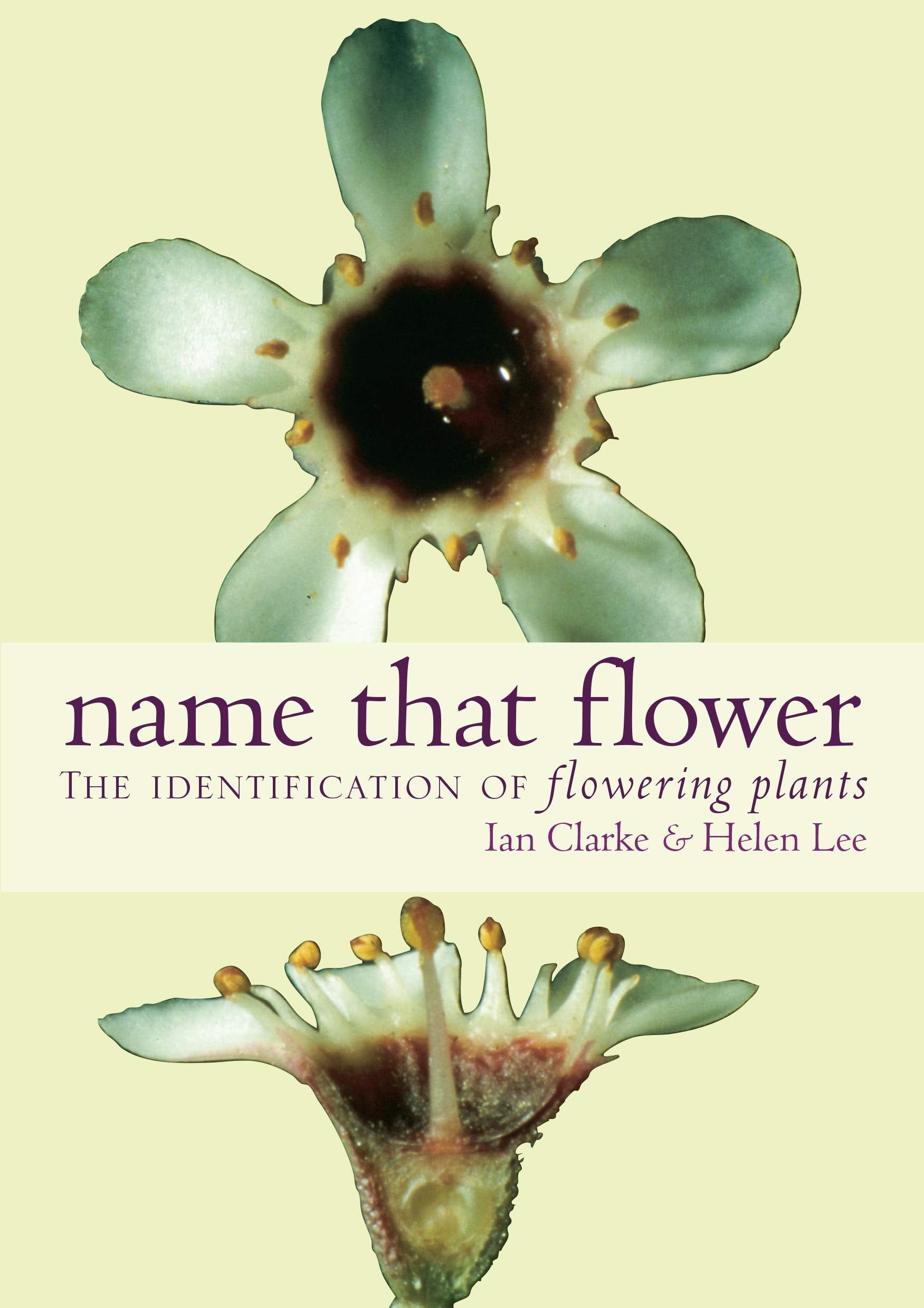 Name That Flower: The Identification of Flowering Plants book