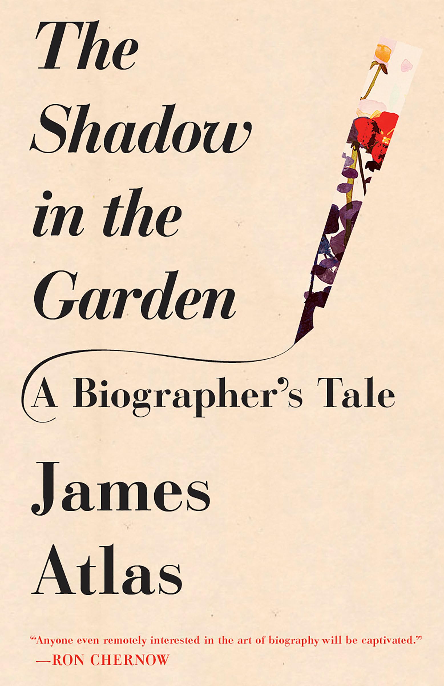The Shadow in the Garden Media & Communication