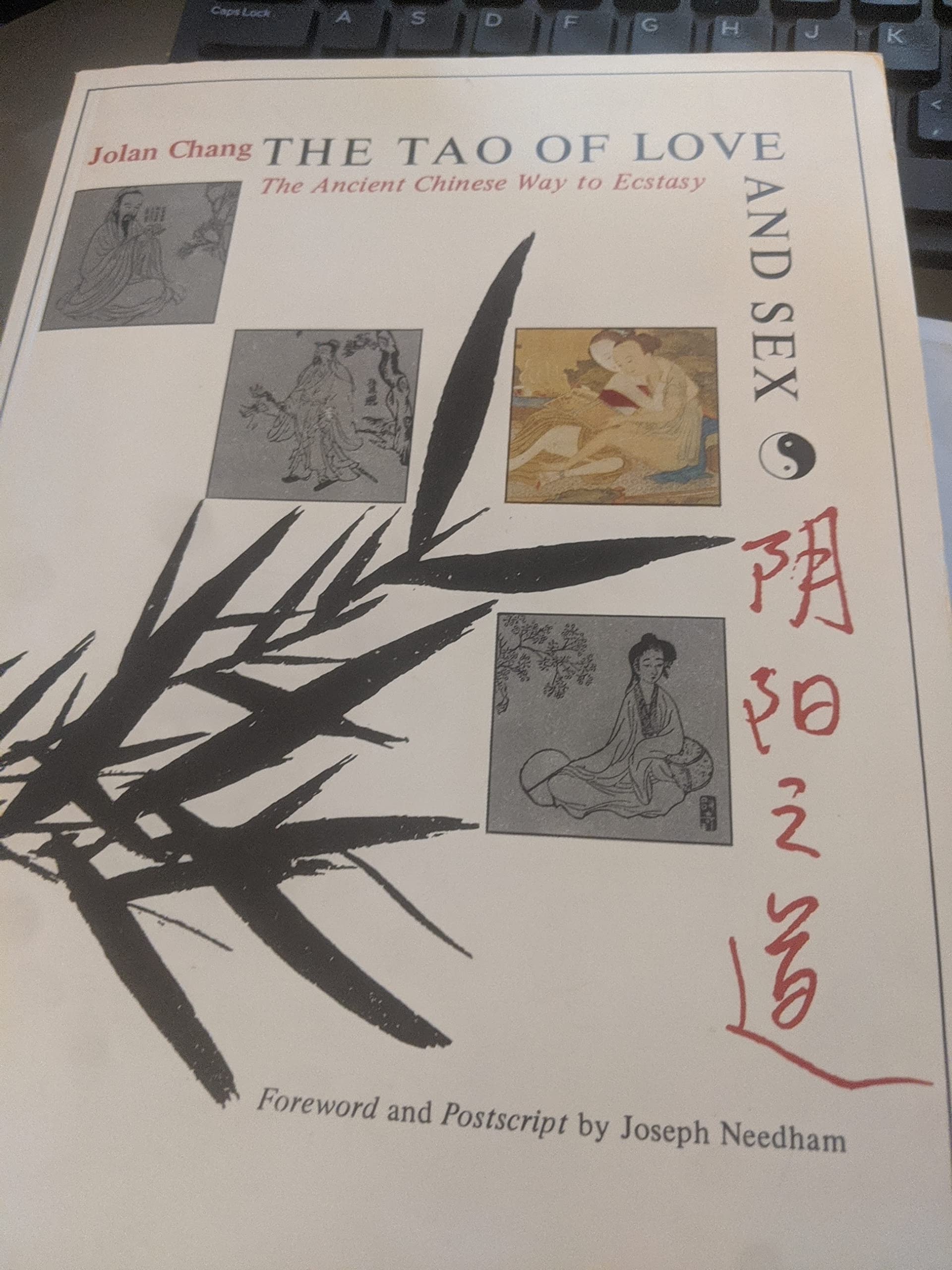 The Tao of Love and Sex Medicine
