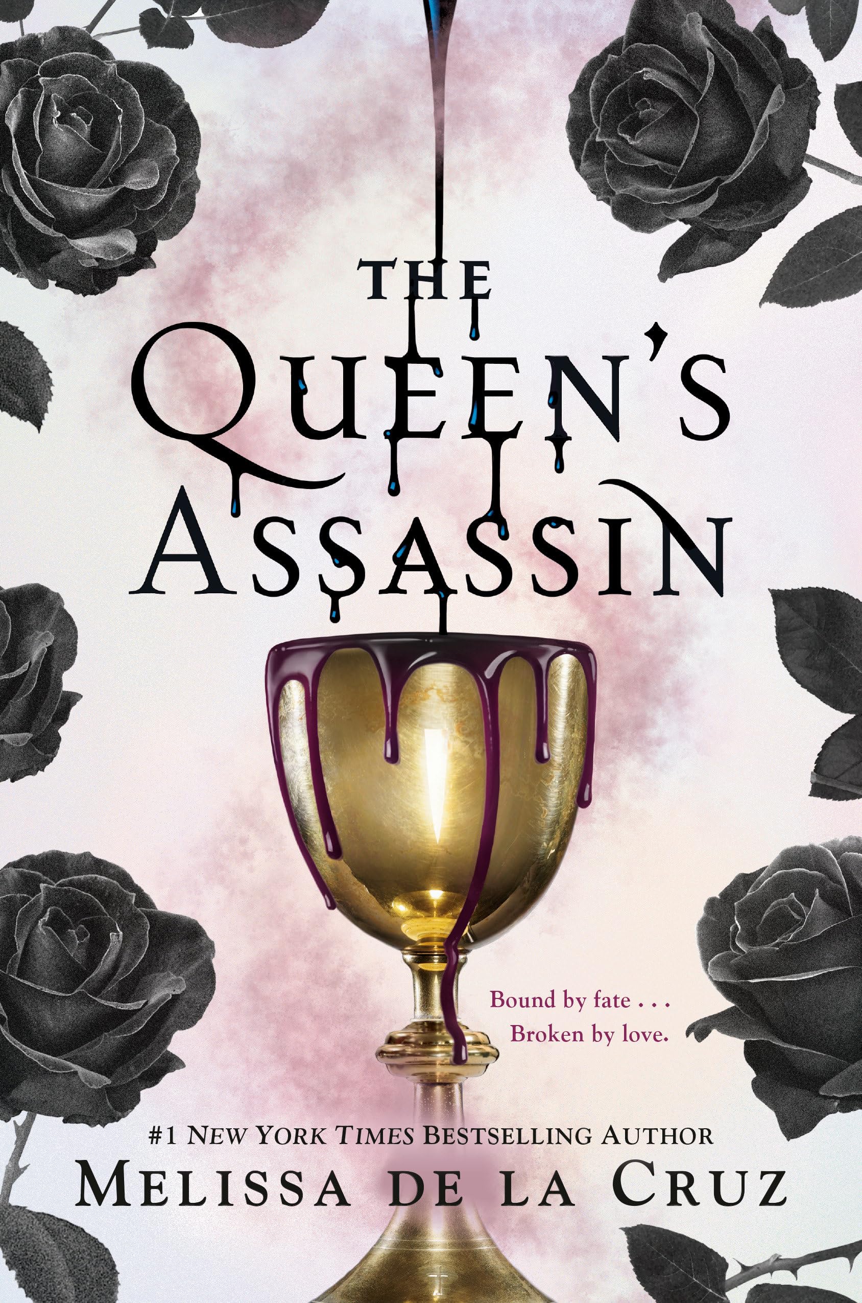 The Queen's Assassin Romance