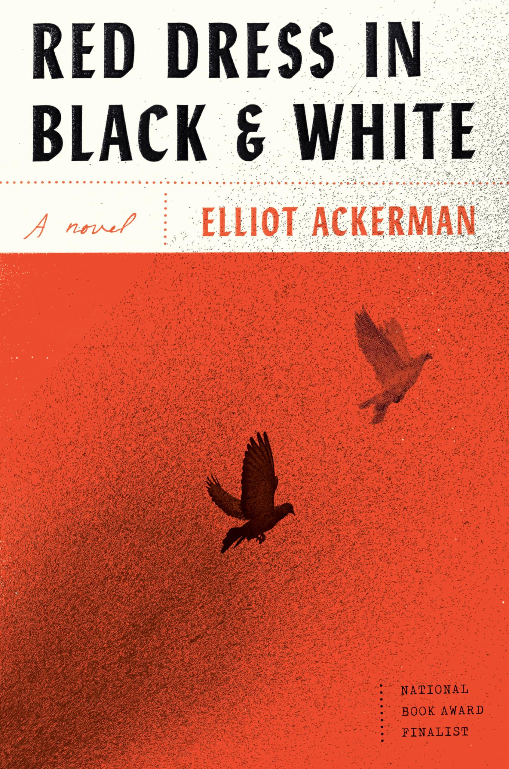 Red Dress in Black and White: A novel Contemporary literature