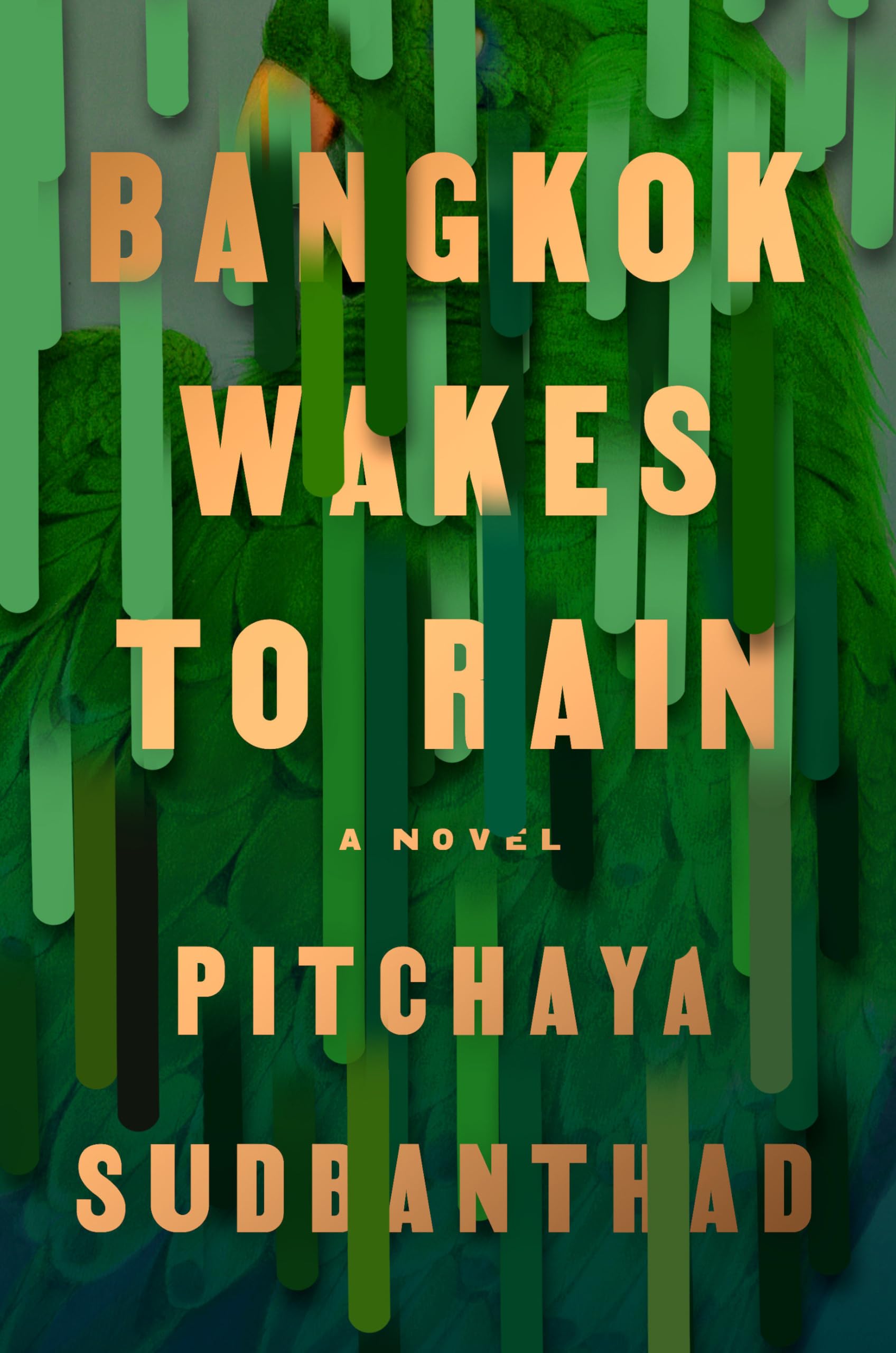 Bangkok Wakes to Rain: A Novel Historical Fiction