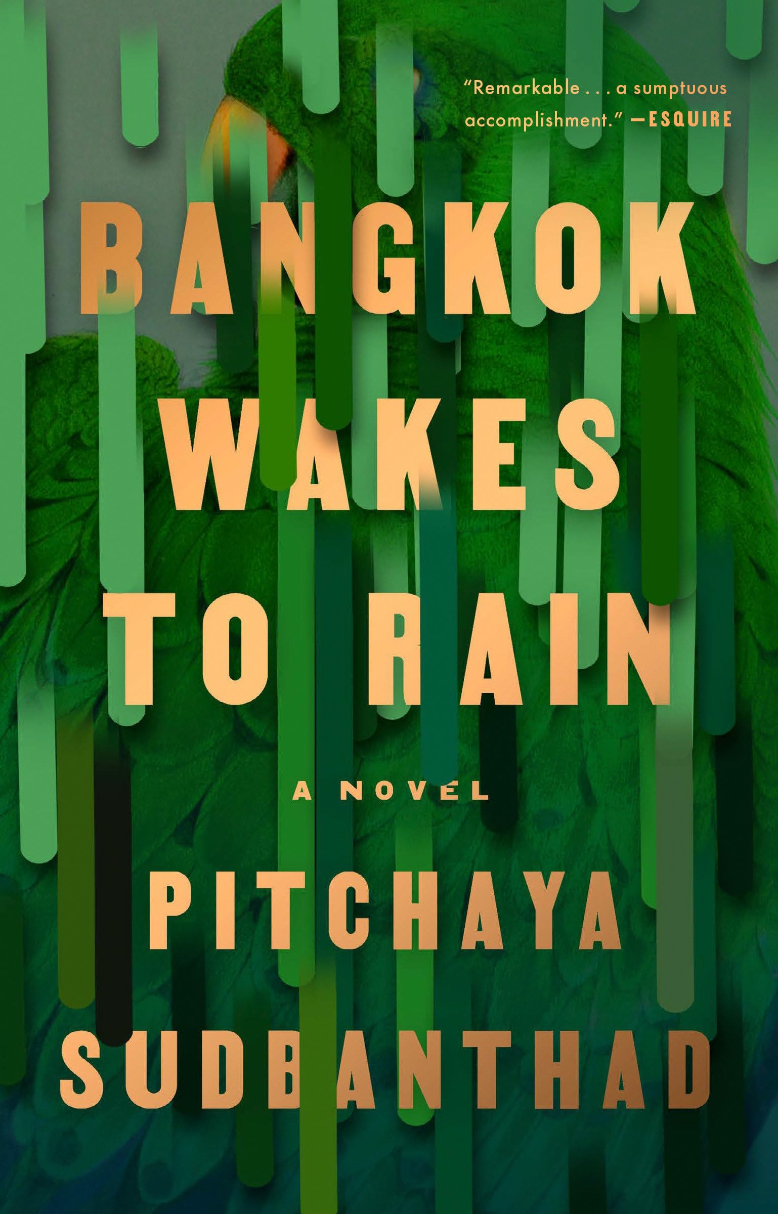 Bangkok Wakes to Rain: A Novel Poetry