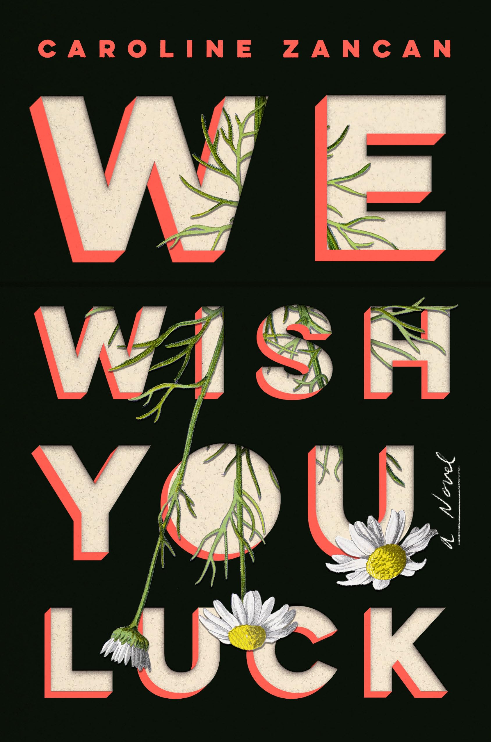 We Wish You Luck: A Novel book