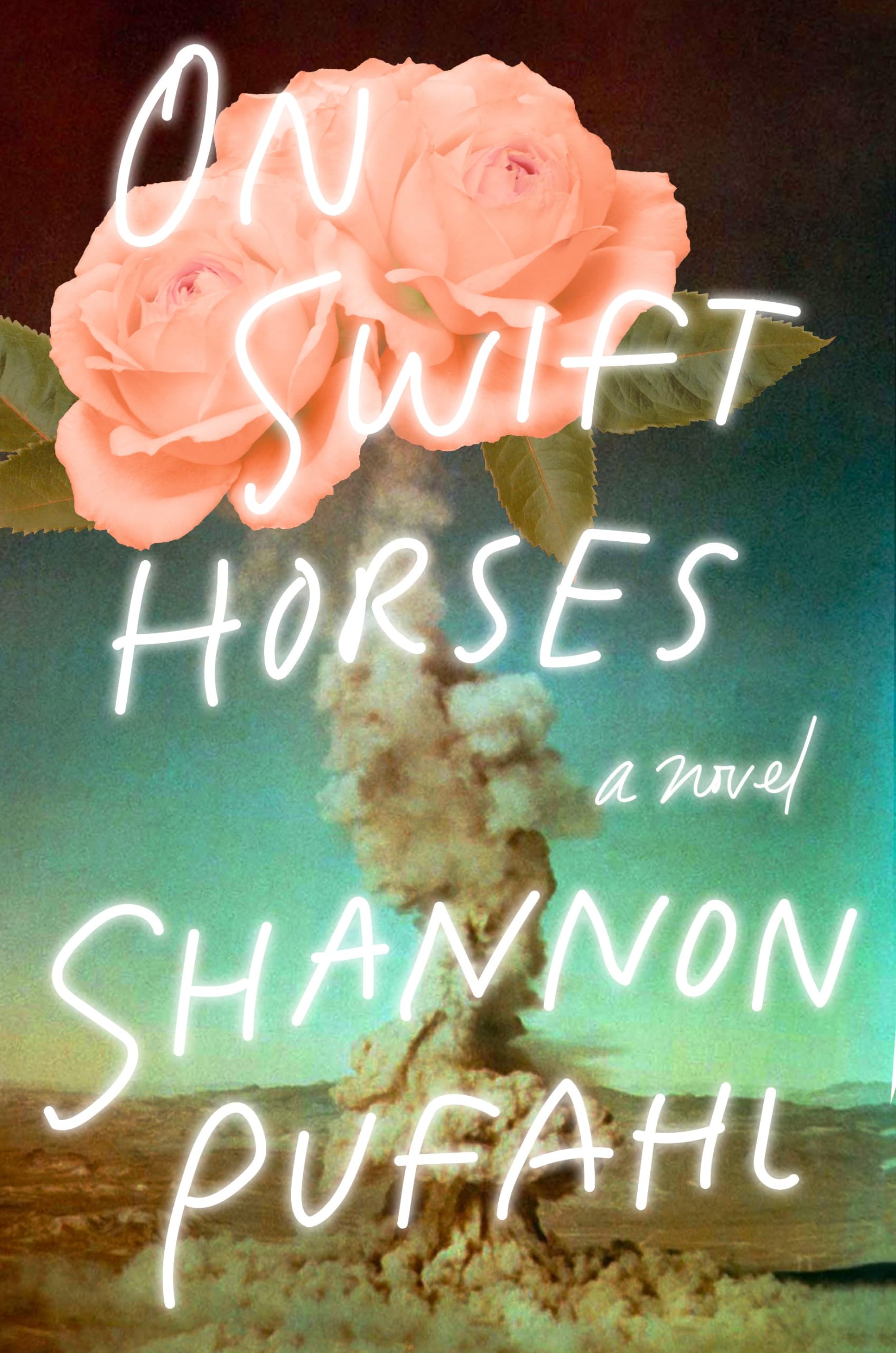 On Swift Horses: A Novel LGBTQ+