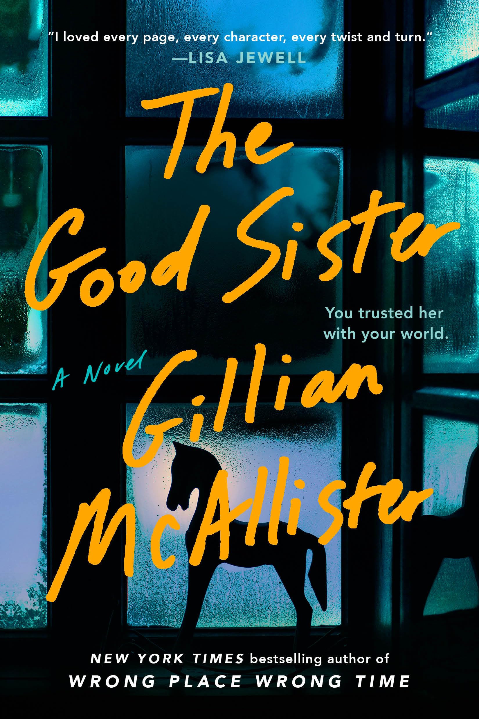 The Good Sister Contemporary literature