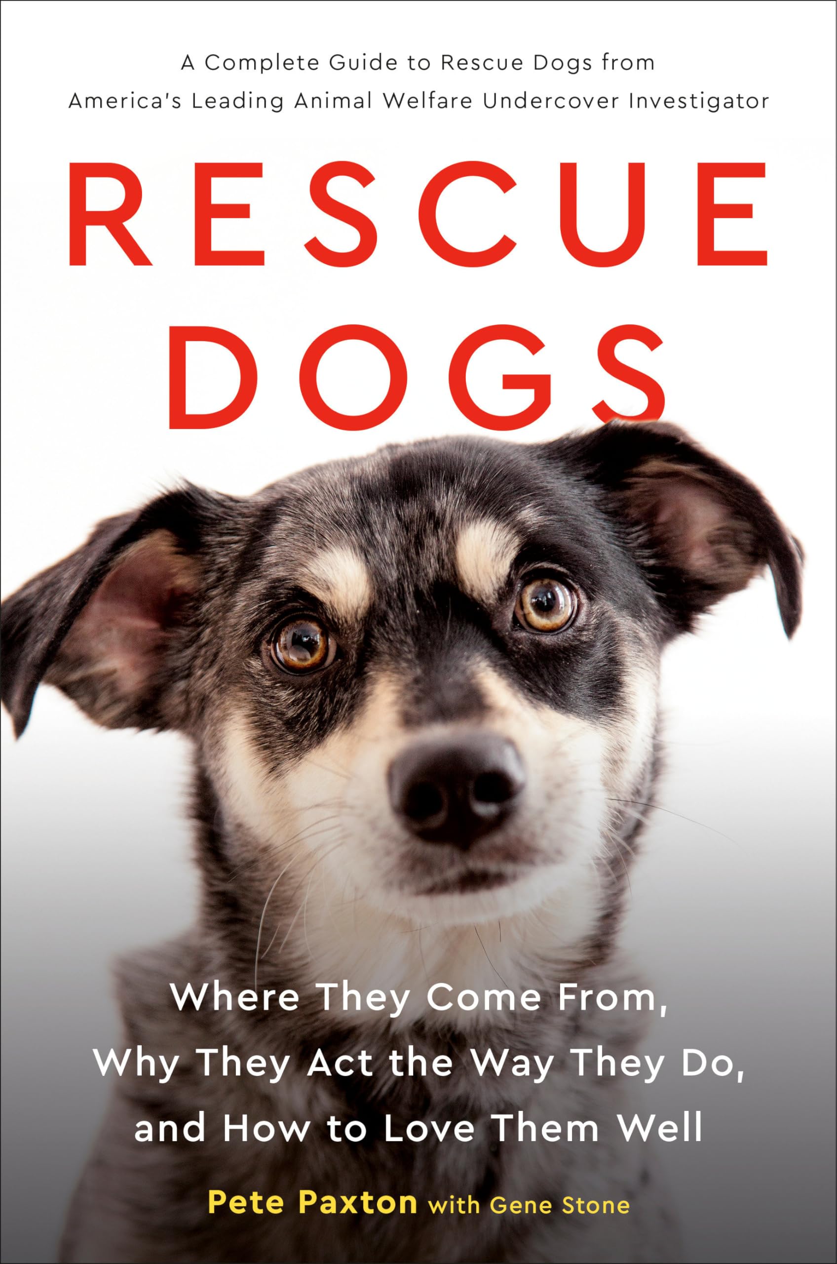Rescue Dogs: Where They Come From, Why They Act the Way They Do, and How to Love Them Well Books