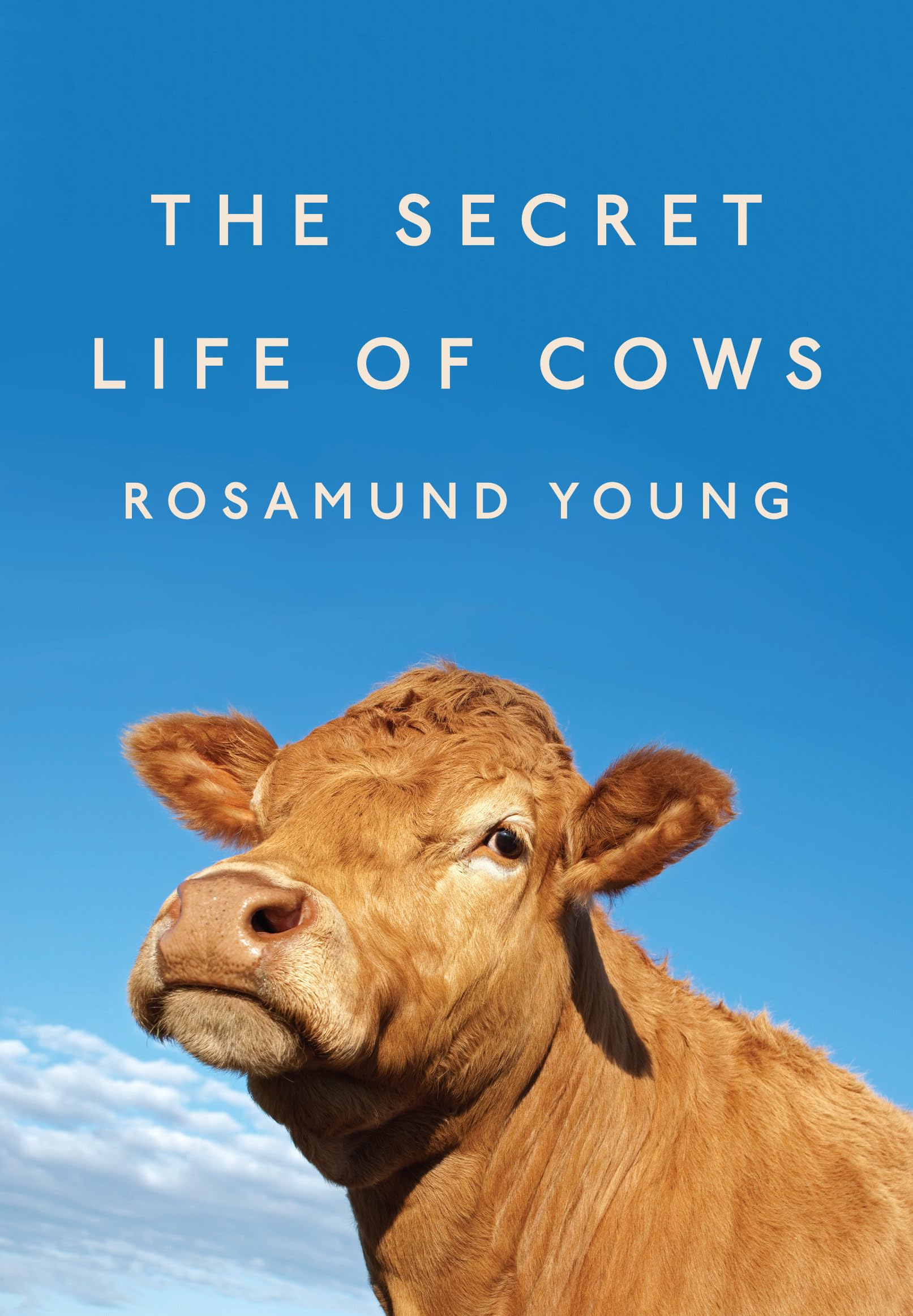 The Secret Life of Cows Mathematics