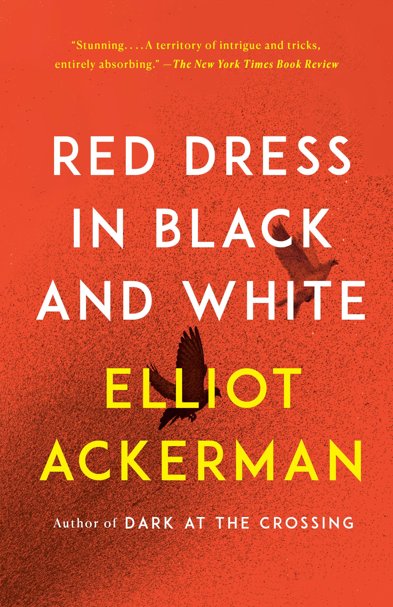 Red Dress in Black and White: A novel Contemporary literature