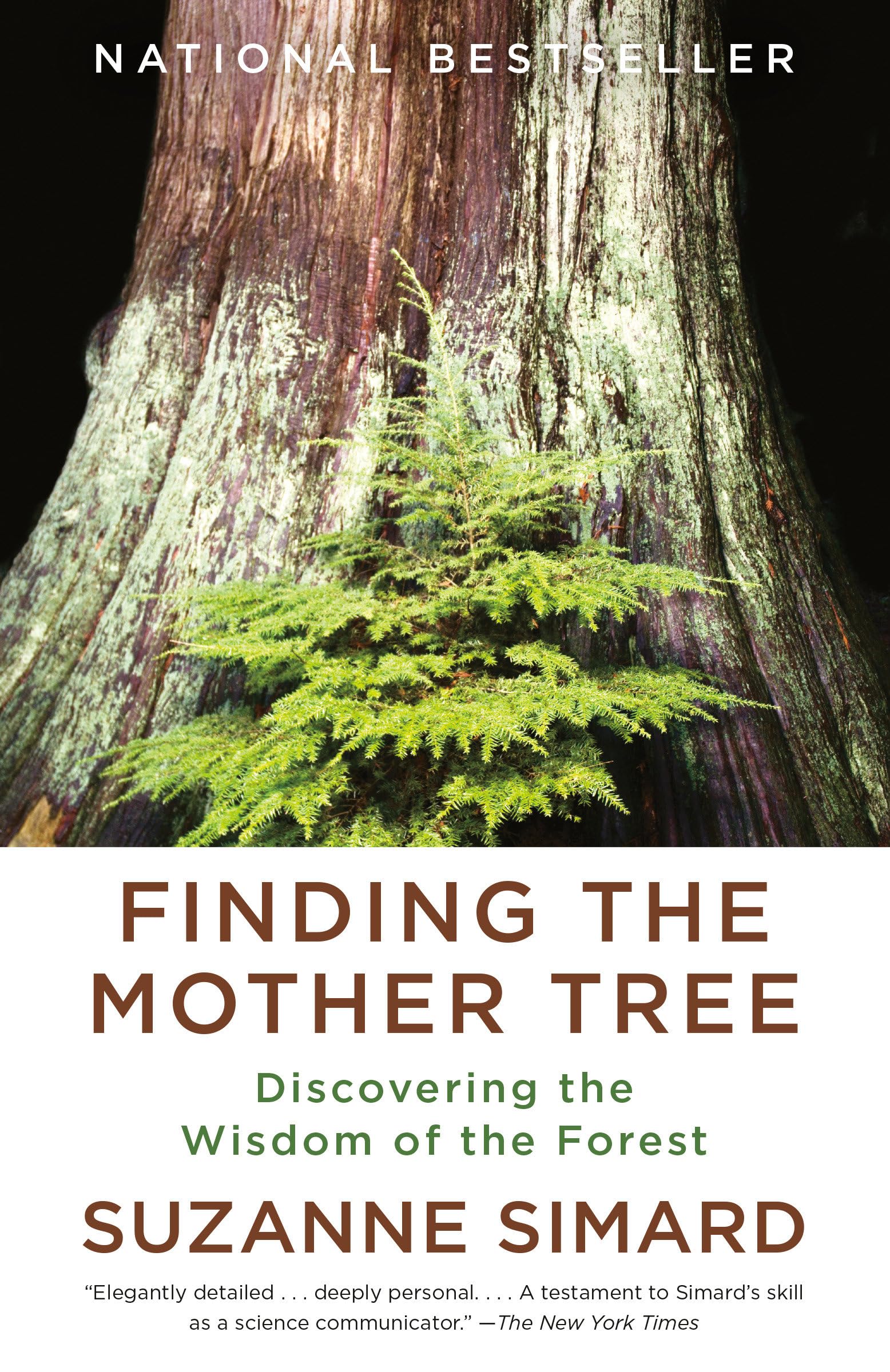 Finding the Mother Tree Art & Literature Books