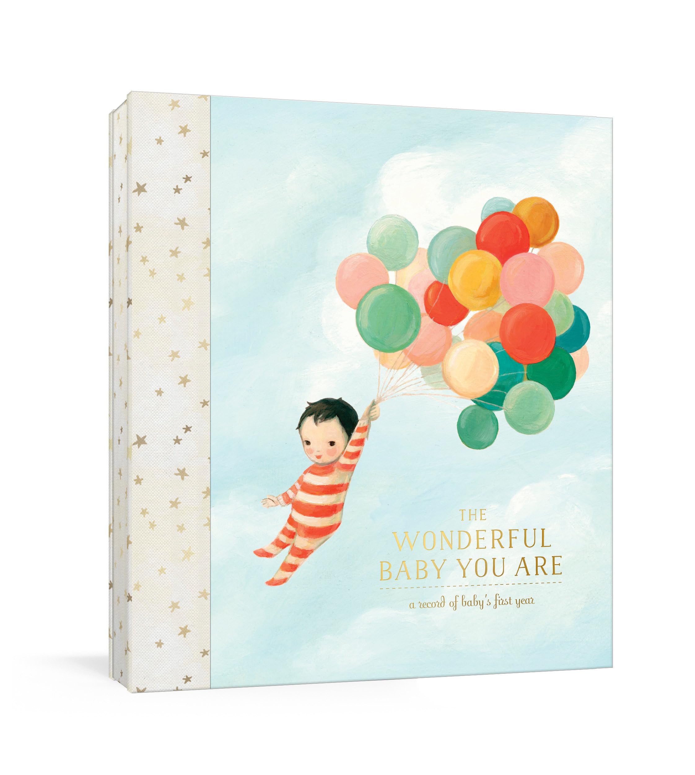 The Wonderful Baby You Are: A Record of Baby's First Year: Baby Memory Book with Milestone Stickers and Pockets Lifestyle