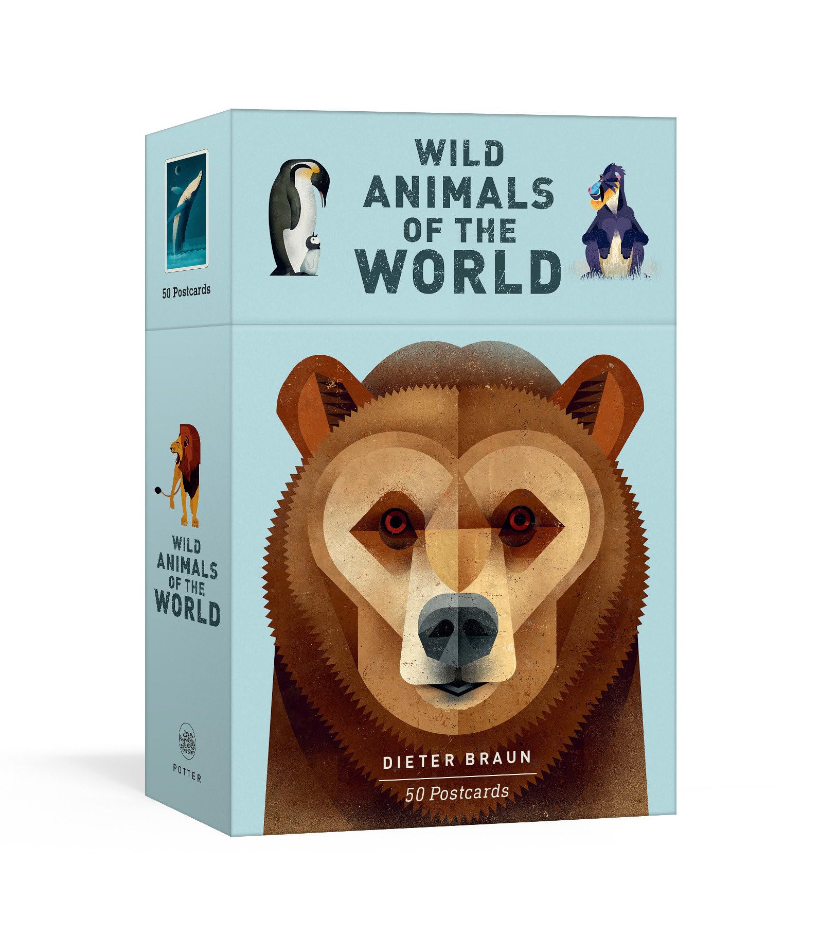 Wild Animals of the World: 50 Postcards Memories