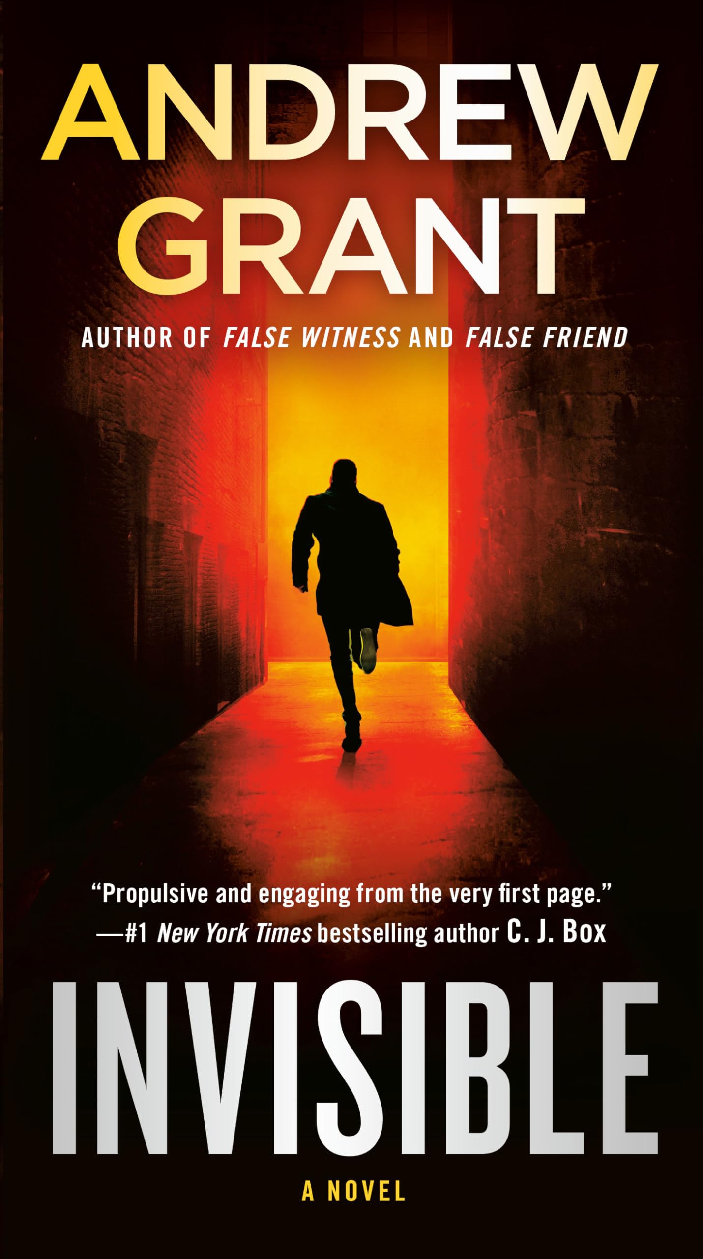 Invisible: A Novel (Paul McGrath, Band 1) Action & Adventure