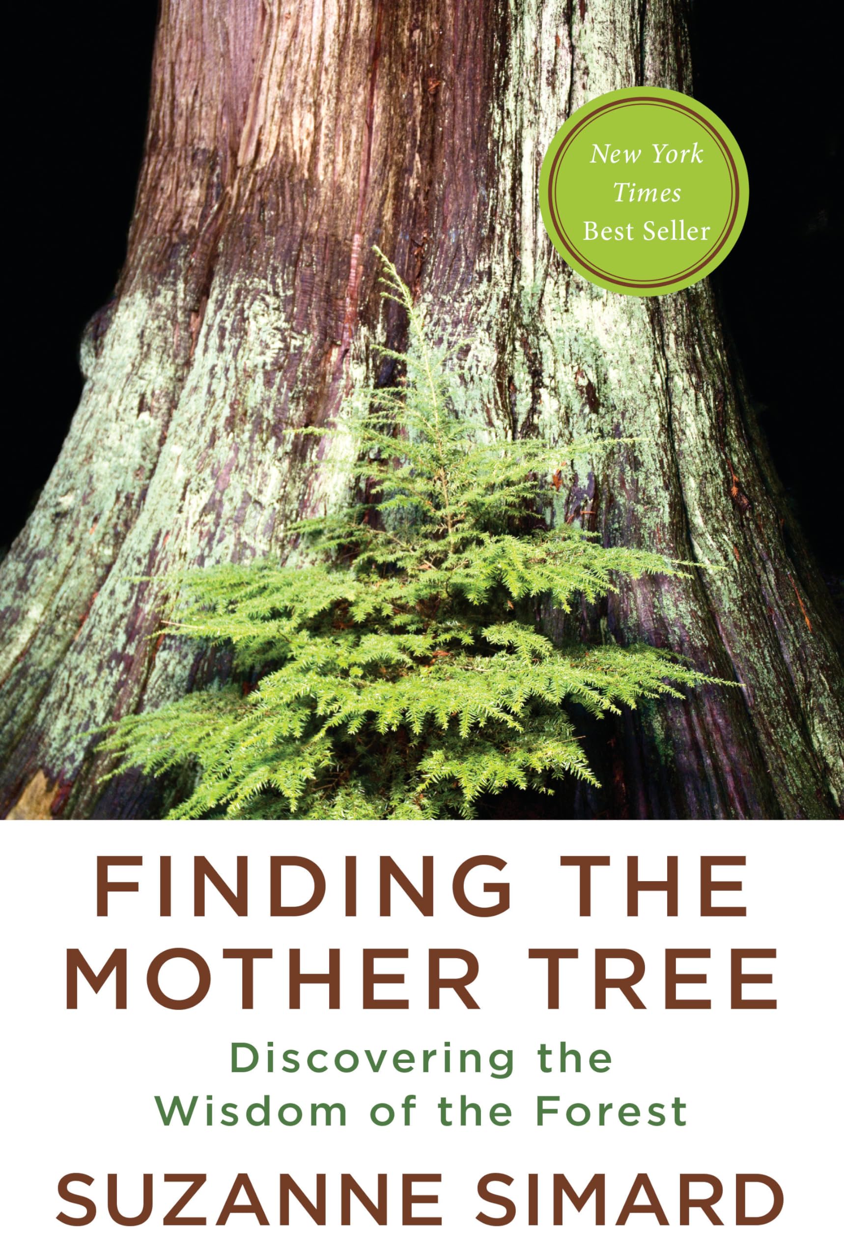 Finding the Mother Tree: Discovering the Wisdom of the Forest Art & Literature