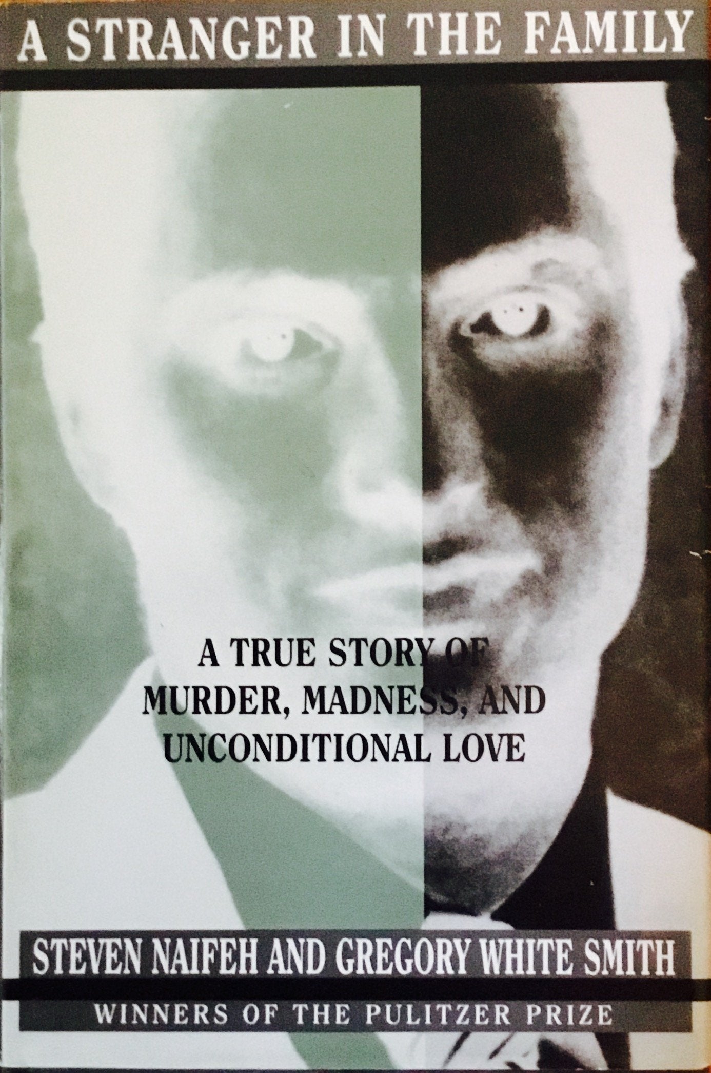 A Stranger in the Family: A True Story of Murder, Madness, and Unconditional Love book