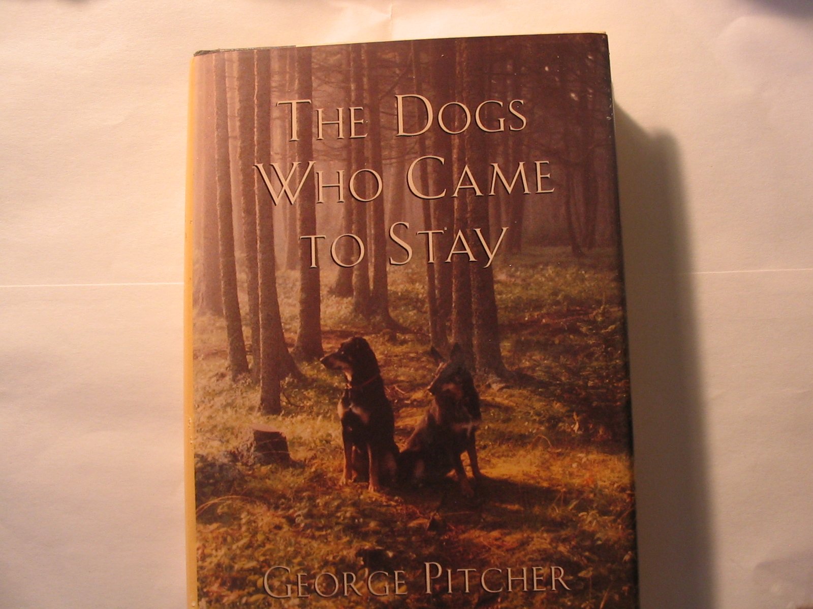 The Dogs Who Came to Stay Contemporary literature
