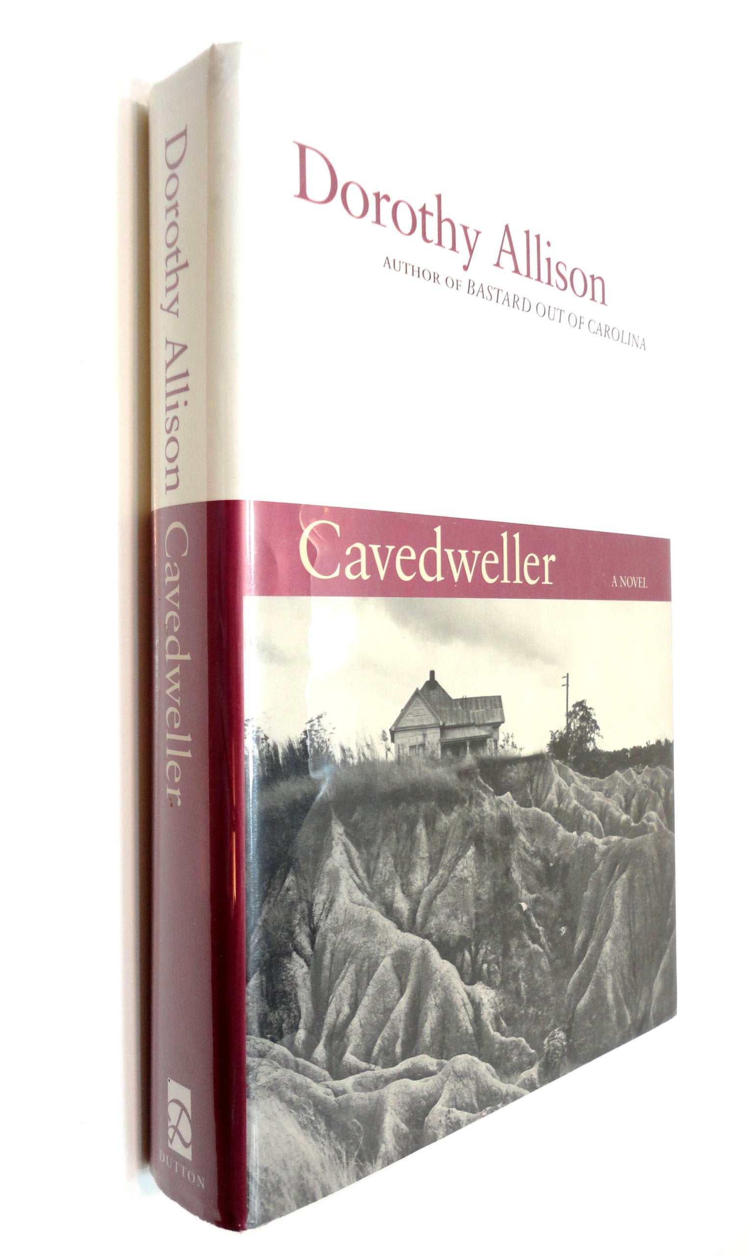 Cavedweller Contemporary literature Books