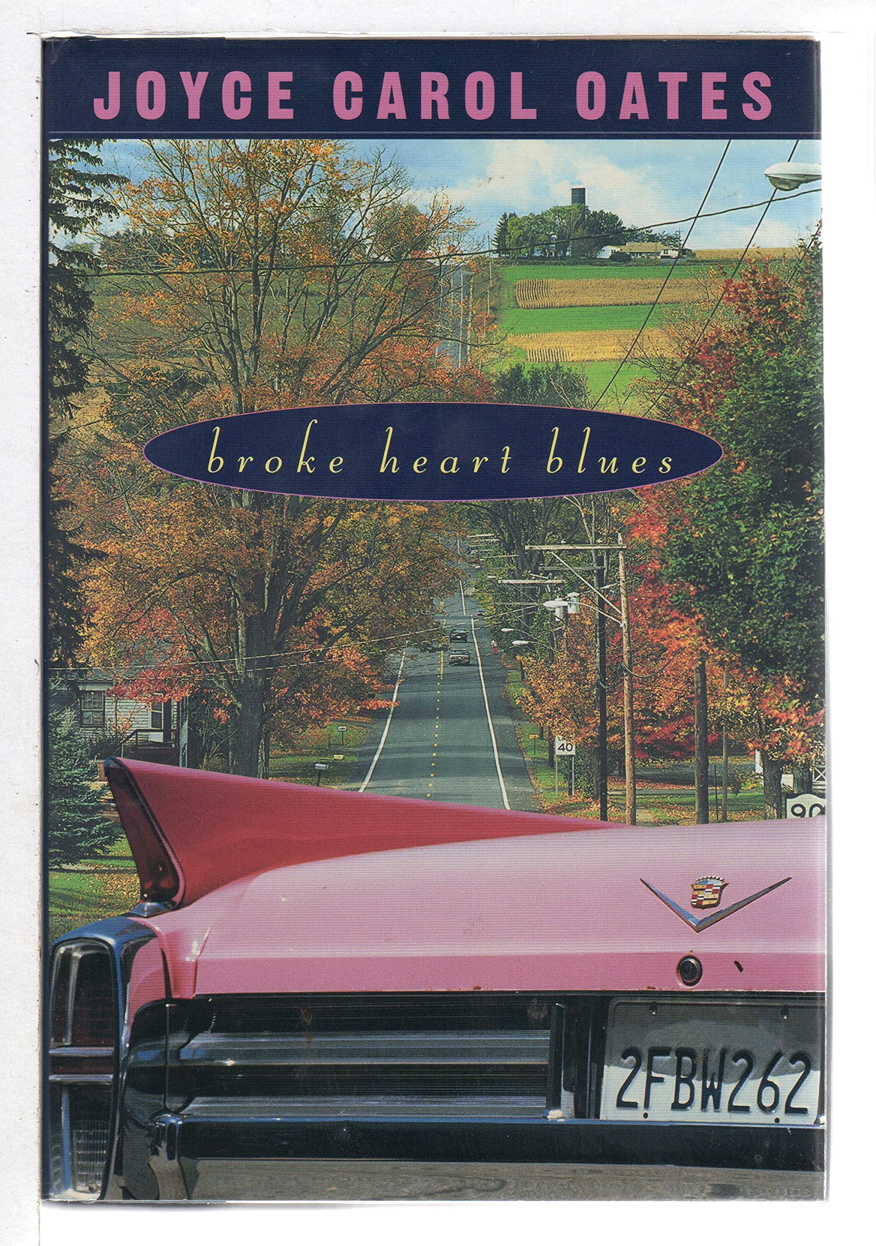 Broke Heart Blues Contemporary literature