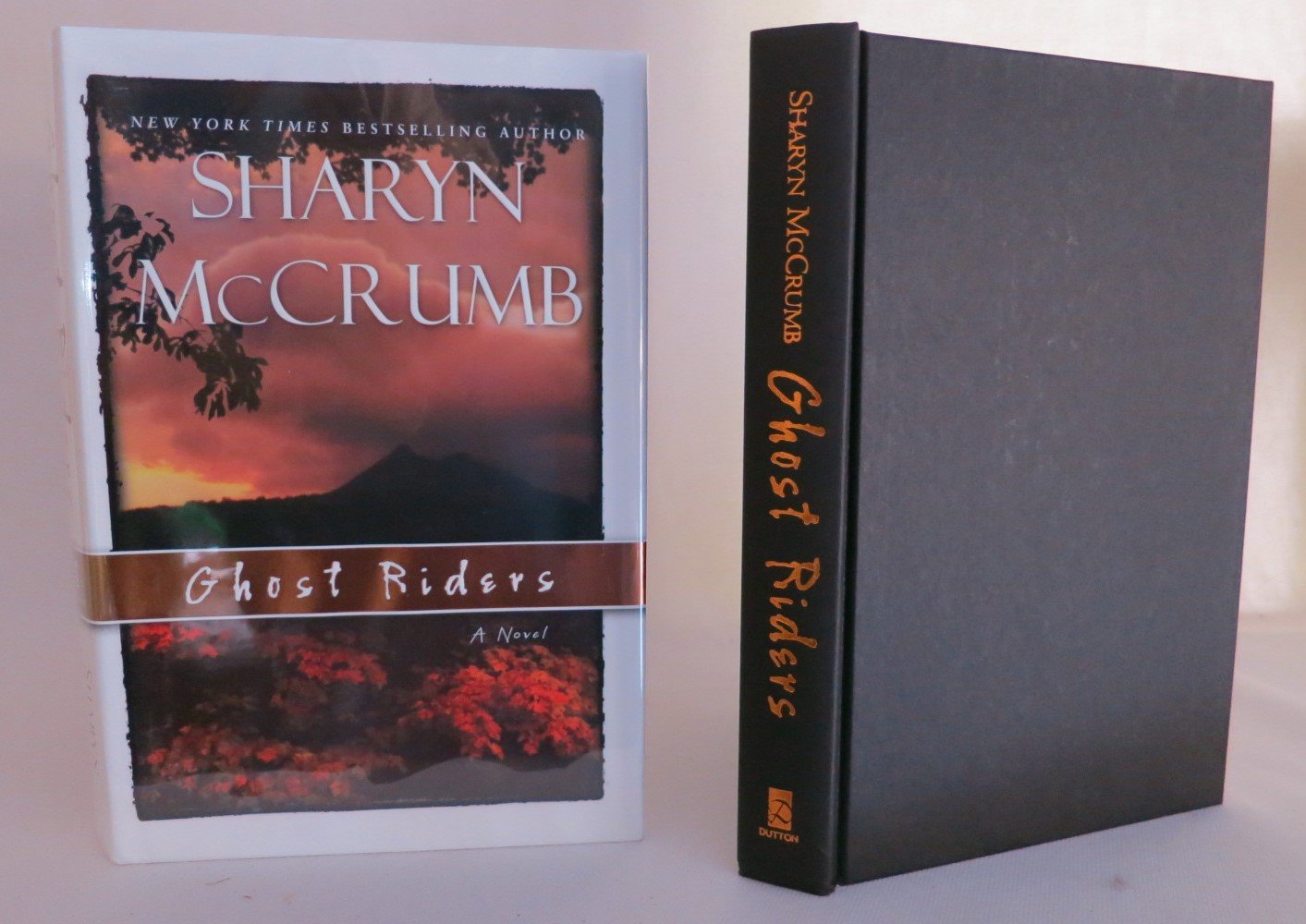 Ghost Riders: A Novel Contemporary literature Books