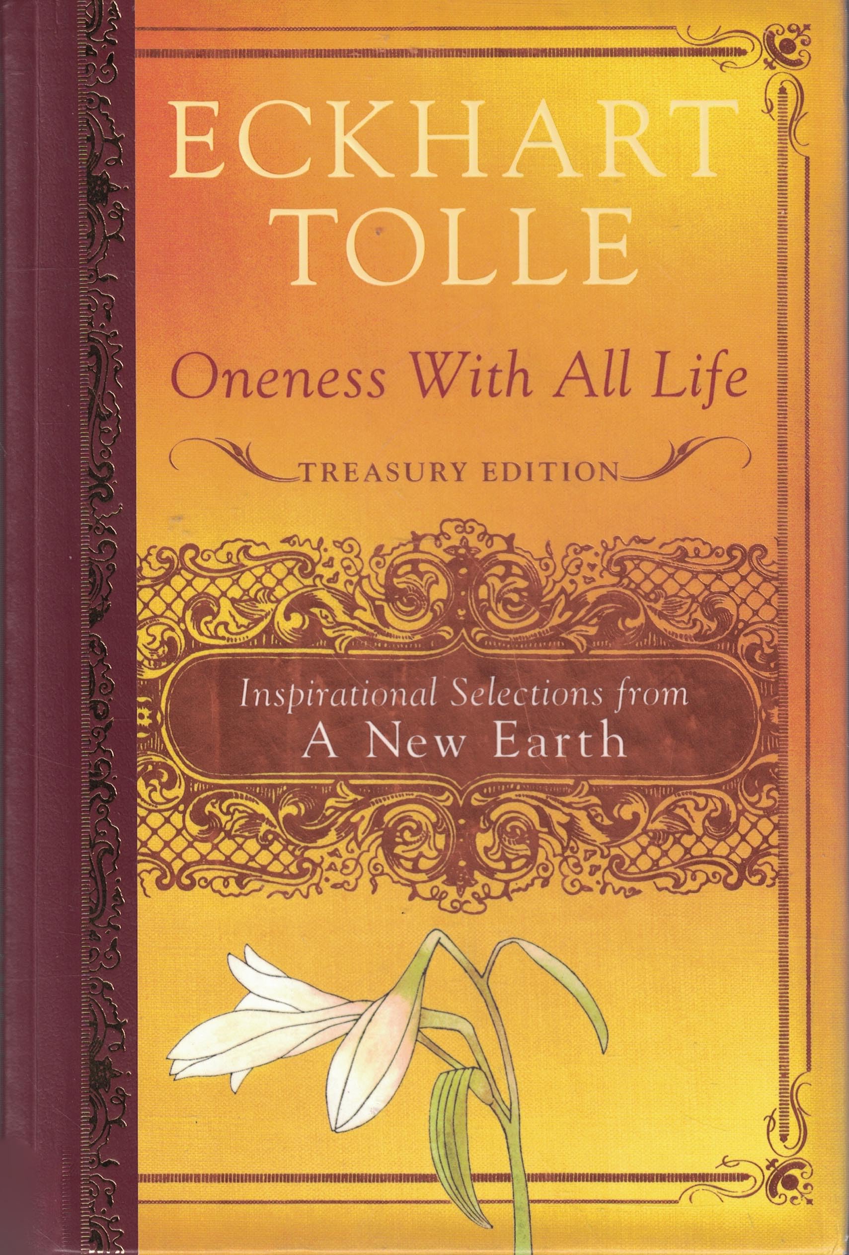 Oneness With All Life: Inspirational Selections From a New Earth: Treasury Edition Self-help