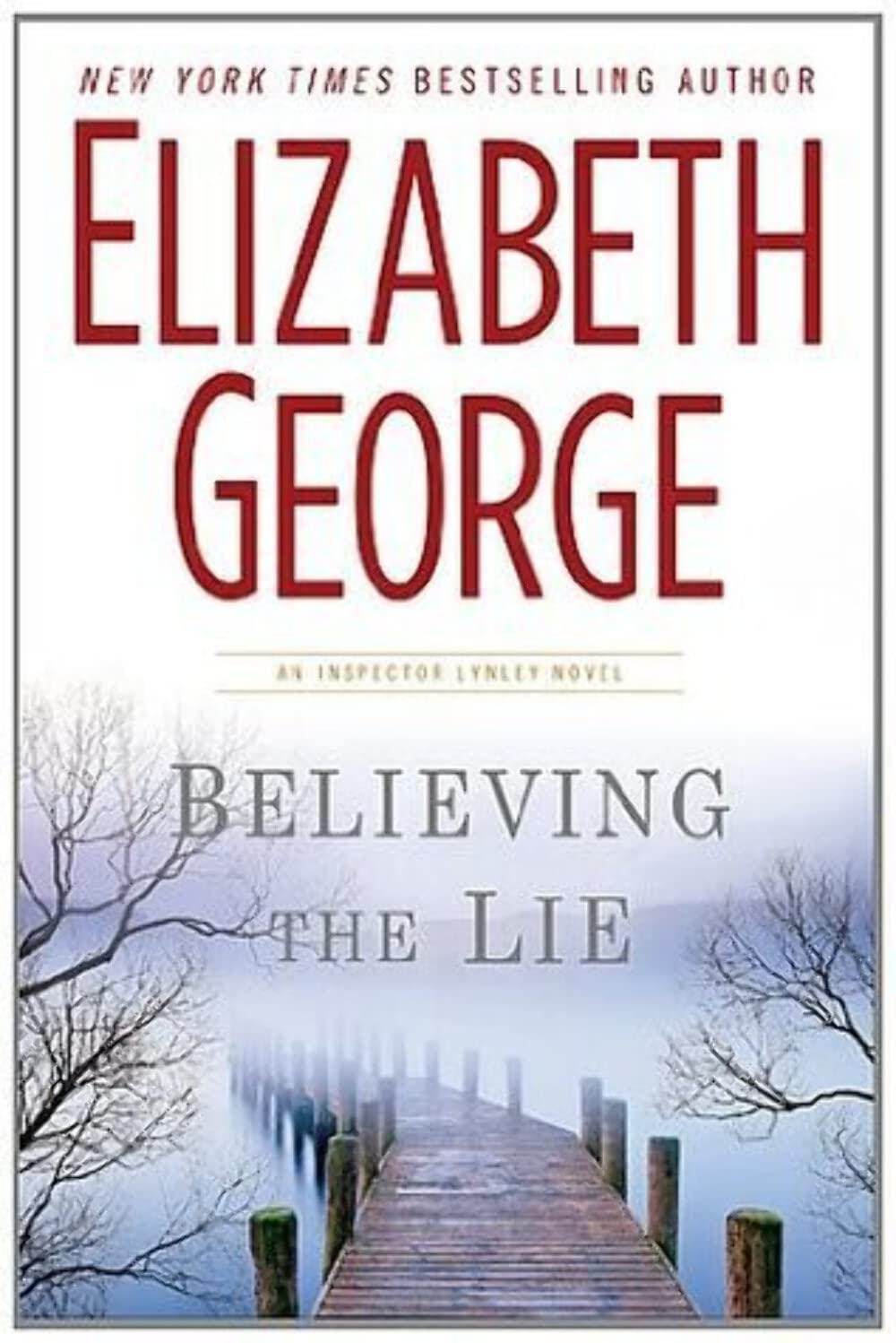 Product Image: Believing the Lie
