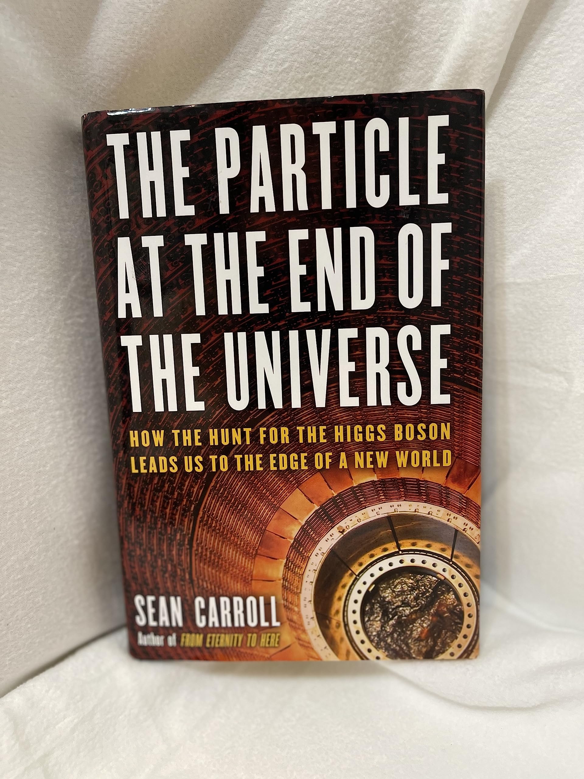 The Particle at the End of the Universe: How the Hunt for the Higgs Boson Leads Us to the Edge of a New World Natural Sciences