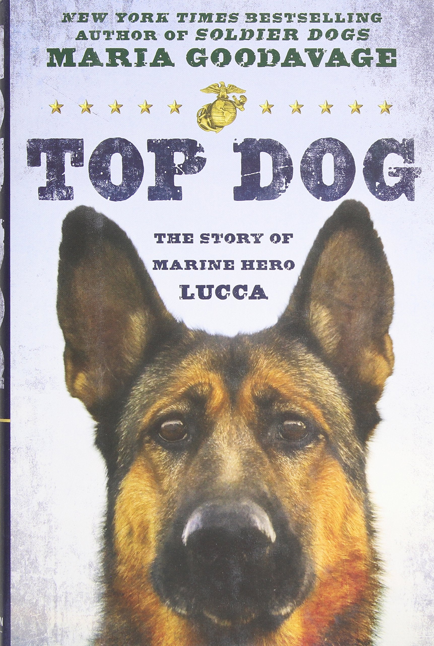 Top Dog: The Story of Marine Hero Lucca Pets