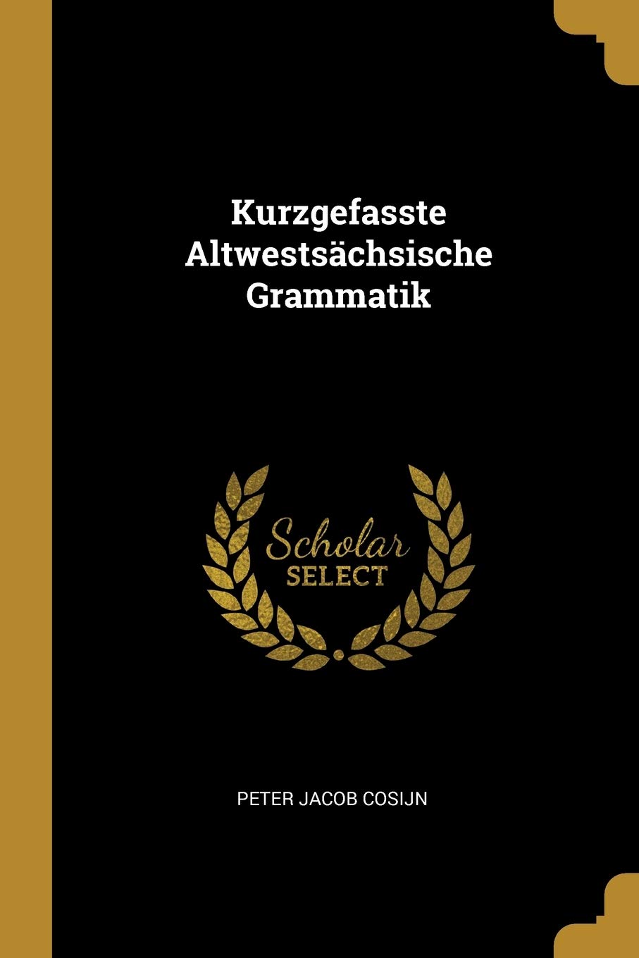 Kurzgefasste Altwestsächsische Grammatik Politics & History