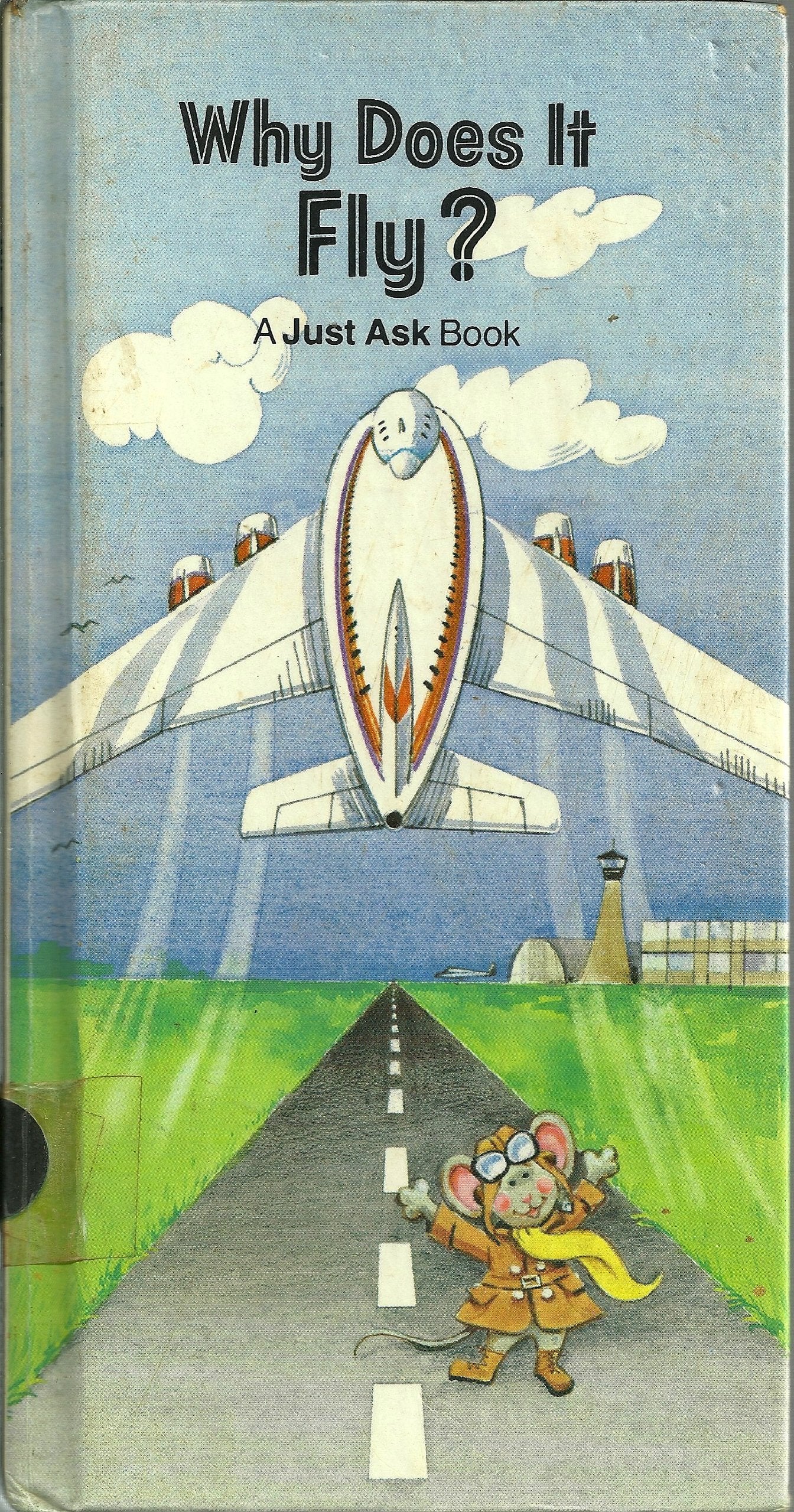 Why Does It Fly? (Just Ask Book) Books