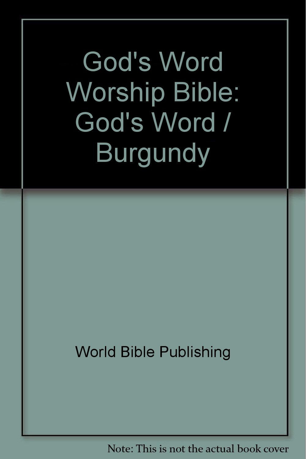 God's Word Worship Bible: God's Word / Burgundy Religion & Esotericism