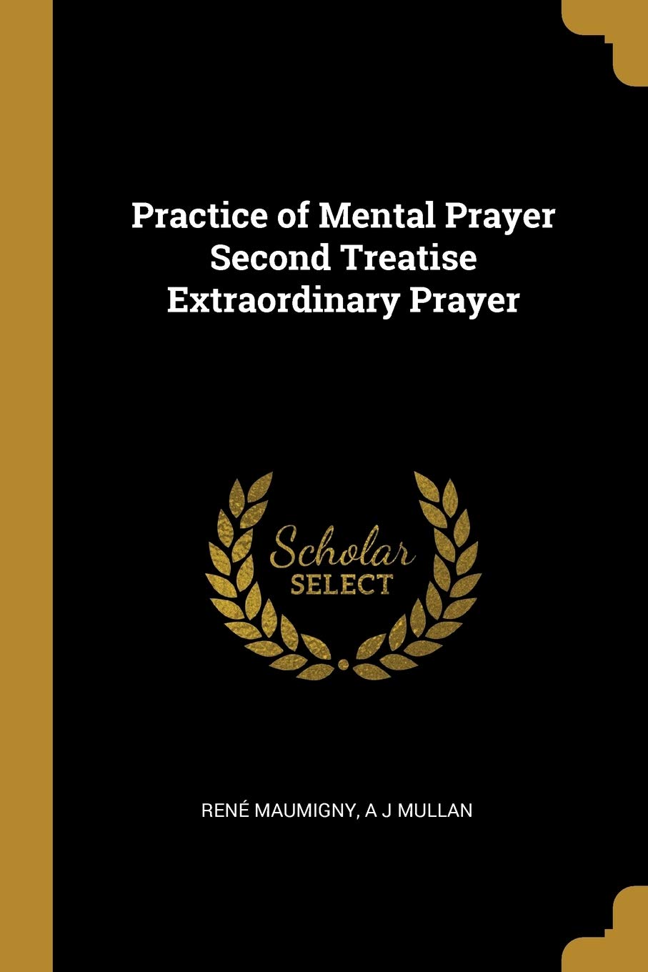 Practice of Mental Prayer Second Treatise Extraordinary Prayer Religion & Esotericism