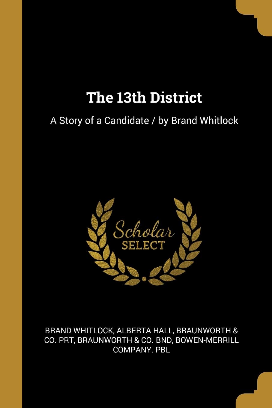 The 13th District: A Story of a Candidate / by Brand Whitlock Politics & History