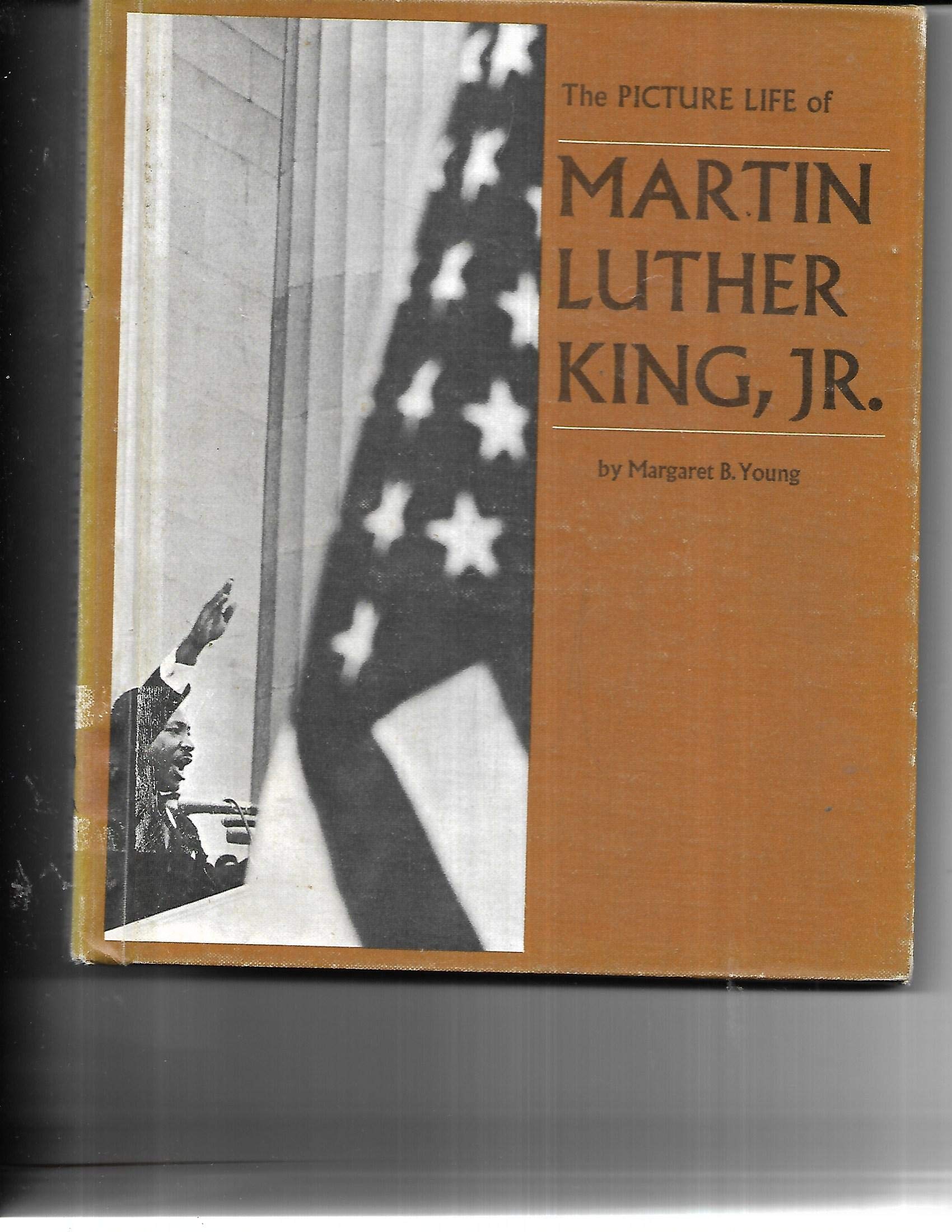 Martin Luther King, Jr. (Picture Life Series) Politics & History