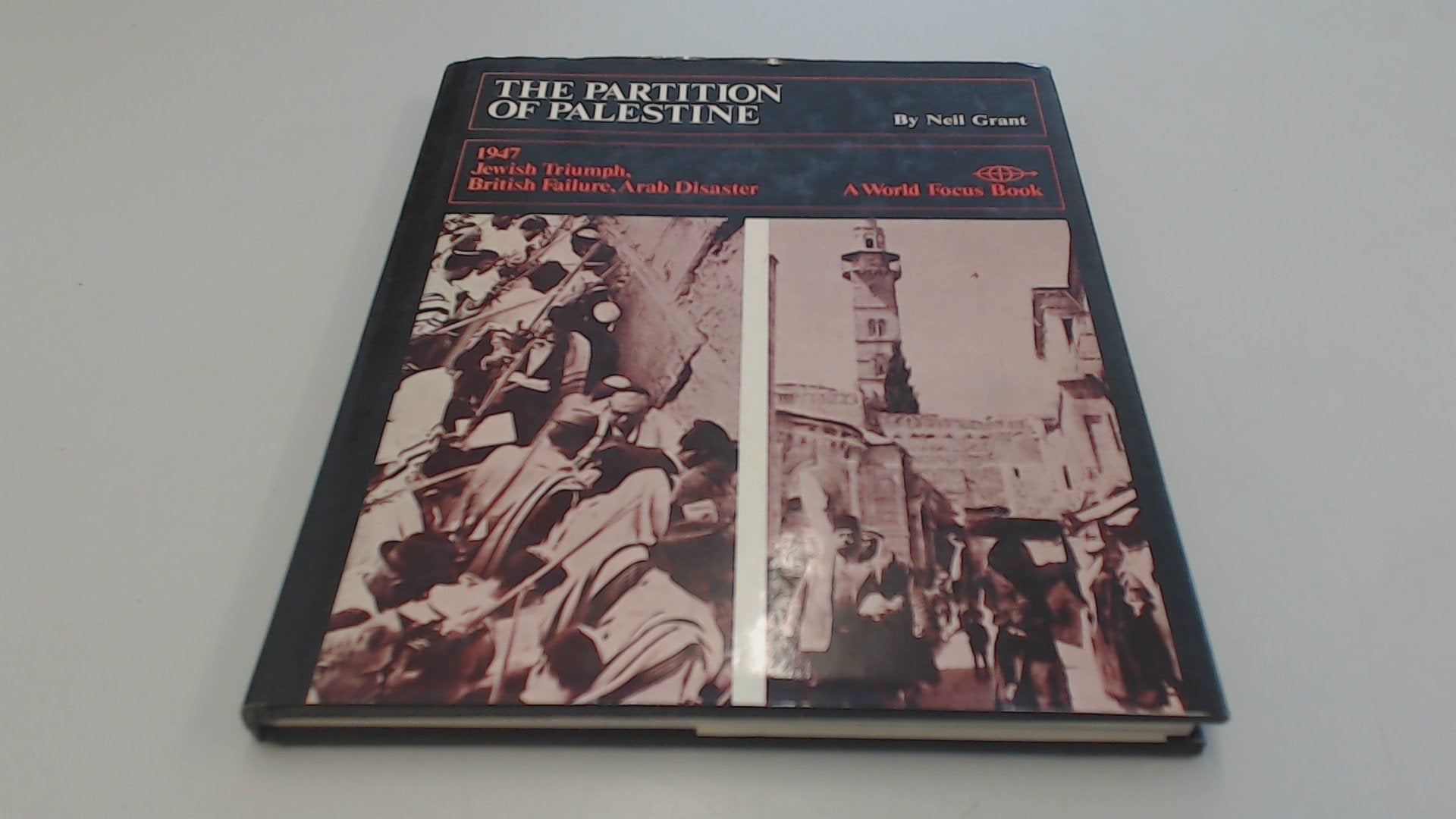 Partition of Palestine (World Focus S.) Social Sciences