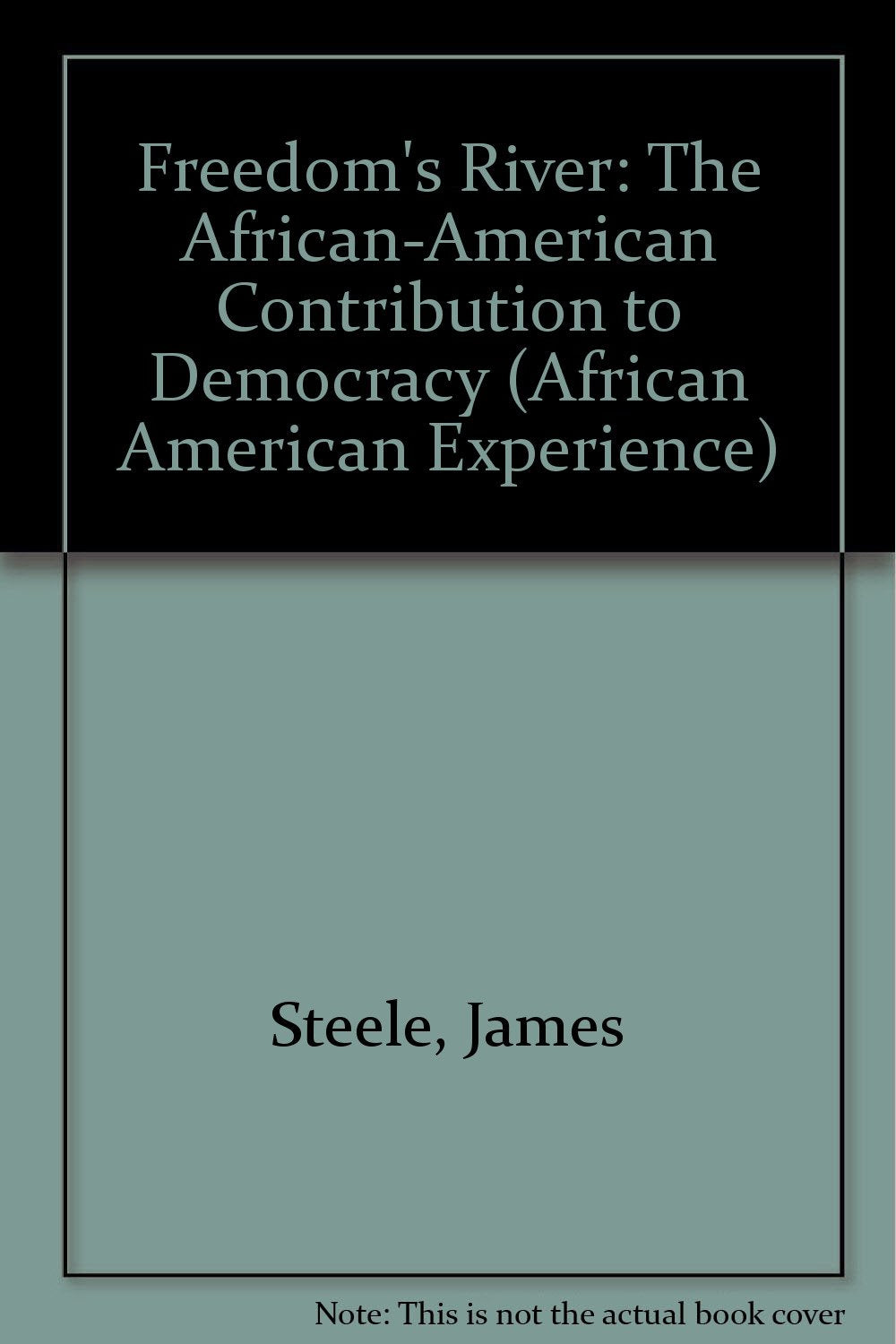 Freedom's River: The African-American Contribution to Democracy (African American Experience) Books