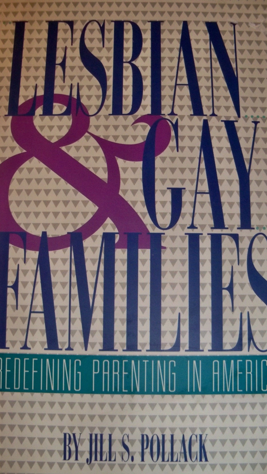 Lesbian and Gay Families: Redefining Parenting in America (The Changing Family) Social Sciences