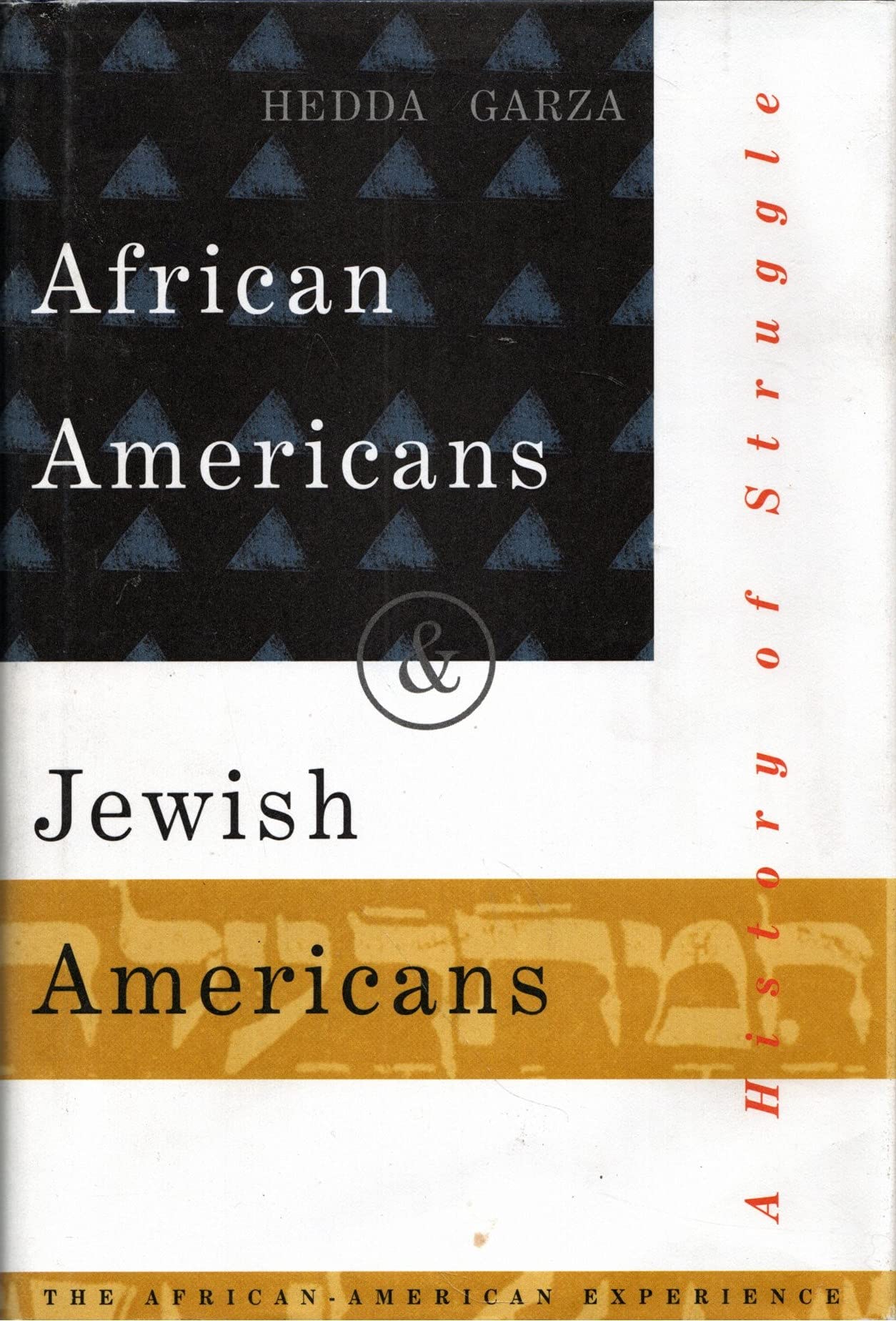 African Americans and Jewish Americans: A History of Struggle (The African-American Experience) Books