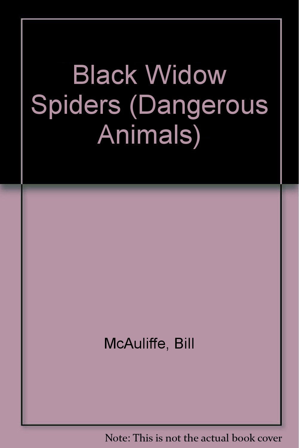 Product Image: Black Widow Spiders (Dangerous Animals)