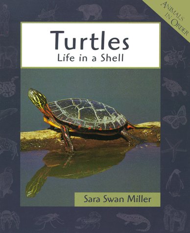 Turtles: Life in a Shell (Animals in Order) Non-fiction