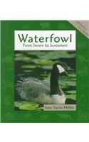 Waterfowl: From Swans to Screamers (Animals in Order) Non-fiction