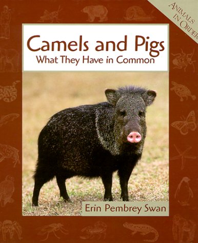 Camels and Pigs: What They Have in Common (Animals in Order) Non-fiction