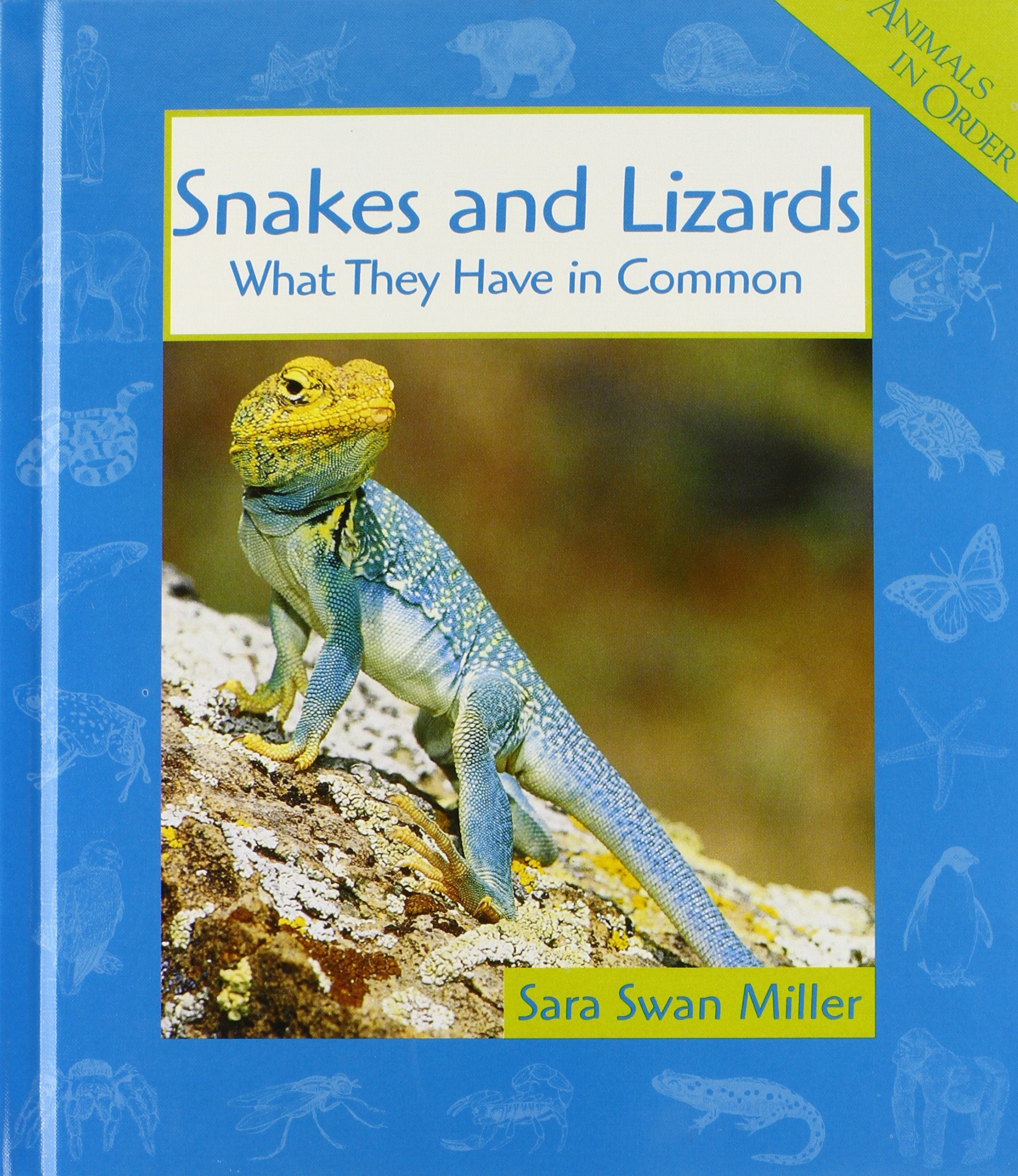 Snakes and Lizards: What They Have in Common (Animals in Order) Non-fiction