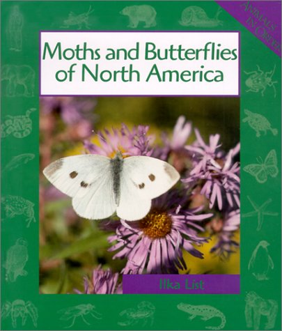 Moths and Butterflies of North America (Animals in Order) Non-fiction