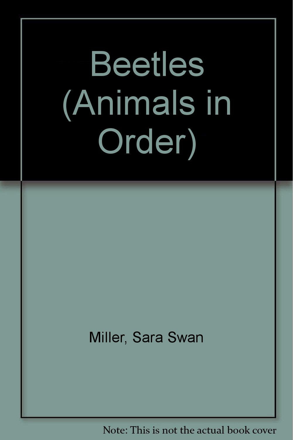 Beetles: The Most Common Insects (Animals in Order) Non-fiction